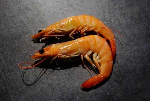 خرید میگو پرورشی سایز 50